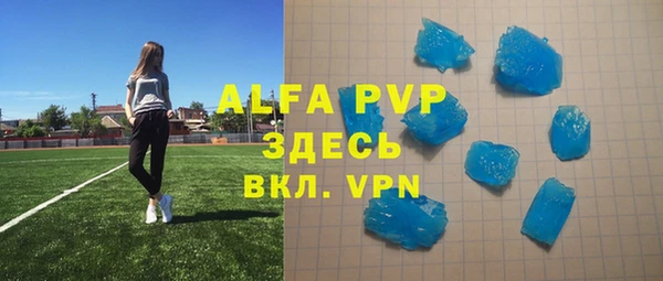 ГАЛЛЮЦИНОГЕННЫЕ ГРИБЫ Белокуриха