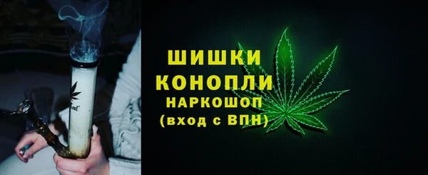 соль ск Снежинск