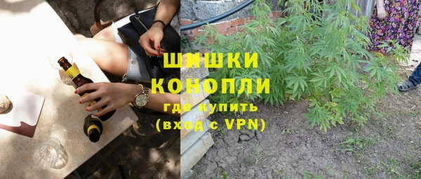 дживик Слюдянка