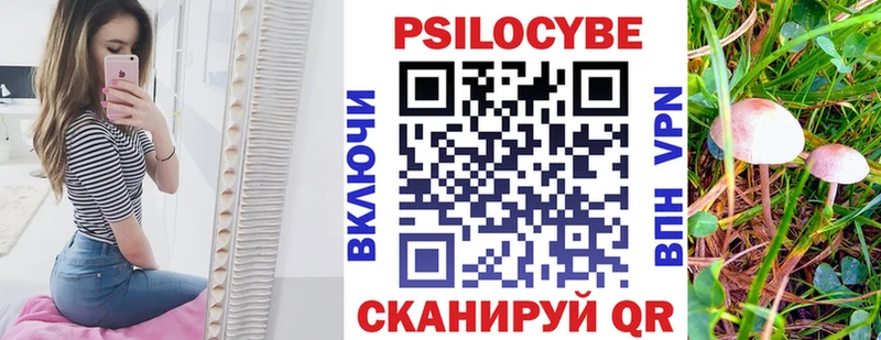 где найти   блэк спрут сайт  Галлюциногенные грибы Cubensis  Дальнегорск 