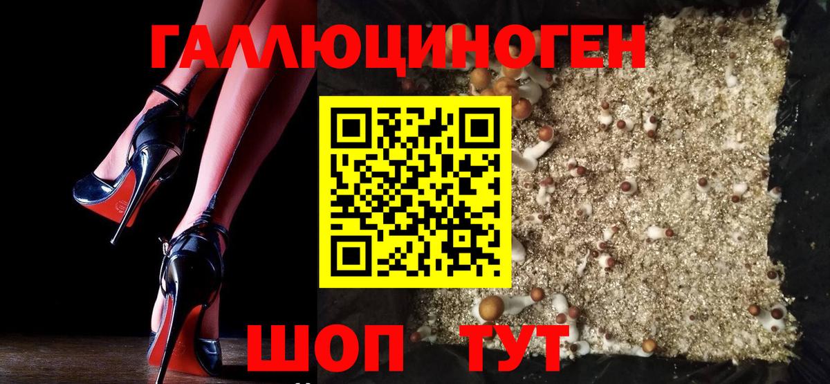 Псилоцибиновые грибы Cubensis Дальнегорск